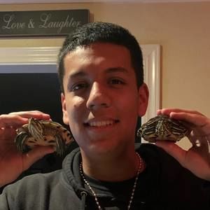 Meet your Posher, Alfonso